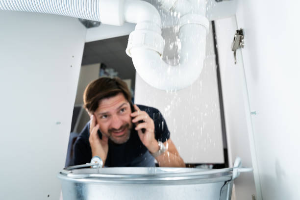 Best Same-Day Plumbing Service  in North Branch, MN