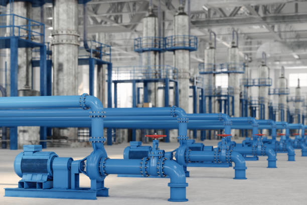 Best Sewer Line Repair  in North Branch, MN